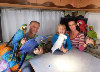 Цирковые династии раскрыли секреты закулисья: «Полагаемся на волю Божью»