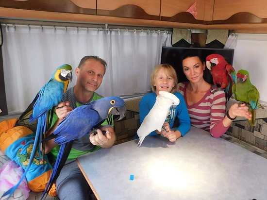 Цирковые династии раскрыли секреты закулисья: "Полагаемся на волю Божью"