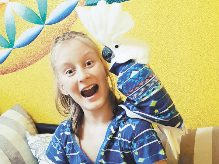 Цирковые династии раскрыли секреты закулисья: "Полагаемся на волю Божью"