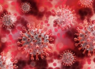 Роспотребнадзор: новогодние выходные не ухудшили ситуацию с COVID-19