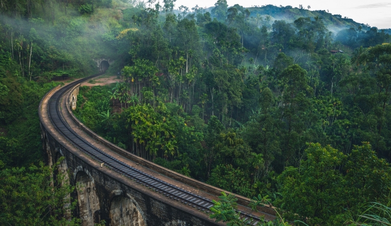 Шри-Ланка открывается для туристов и предъявляет новые требования