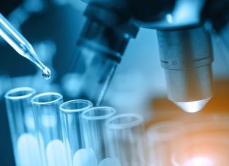 Ученые рассказали об уязвимости коронавируса