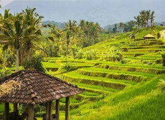 Бали могут открыть для вакцинированных туристов