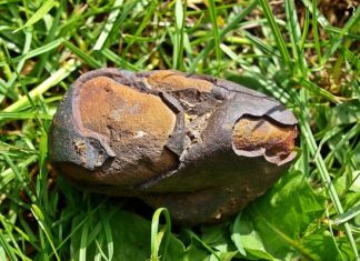 Британец уверен, что у его дома исполнилось библейское пророчество