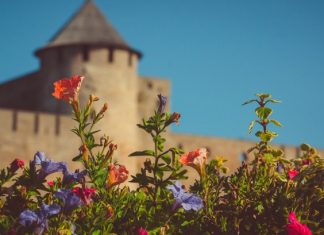 Эстония отменяет карантин для вакцинированных туристов