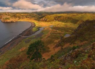 Кремль поставил точку в вопросе Курил