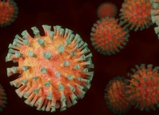 Минздрав Алжира сообщил об обнаружении «британского» штамма коронавируса