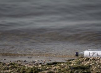 На Багамах нашли трех кубинцев, 33 дня питавшихся кокосами