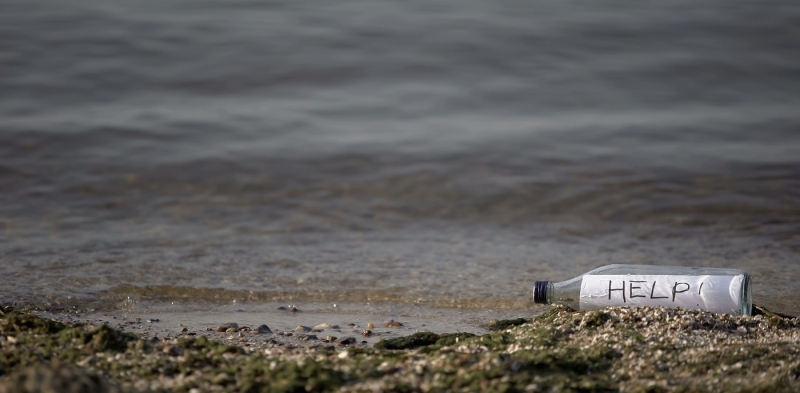 На Багамах нашли трех кубинцев, 33 дня питавшихся кокосами