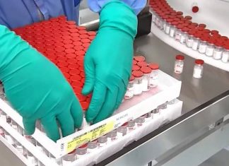 Признание поневоле: станет ли «вакцина Путина» средством от русофобии