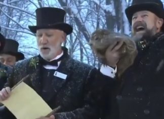 Сурок из Пенсильвании предсказал еще шесть недель зимы