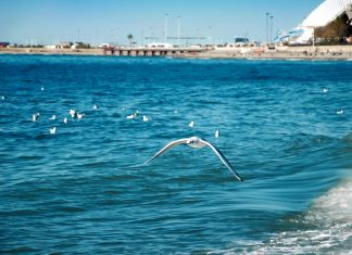 Турист отдохнул в городе-отеле в Сочи и остался недоволен