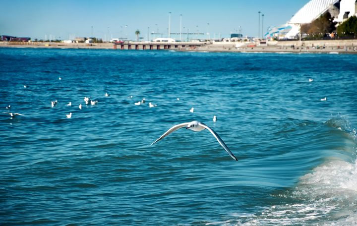 Турист отдохнул в городе-отеле в Сочи и остался недоволен
