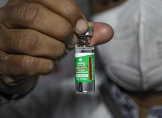 Украина: страна — лабораторный кролик?