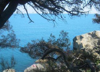 В Крыму планируют снять последние ограничения 1 марта