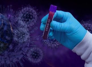 В РФ зарегистрировали тест на мутации британского штамма COVID