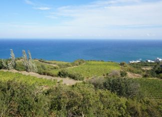 Иностранцы отказались более чем от 500 земельных участков в Крыму