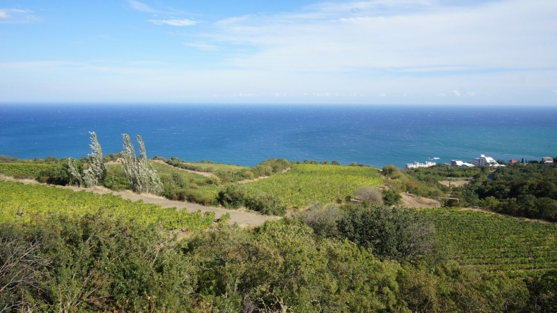 Иностранцы отказались более чем от 500 земельных участков в Крыму