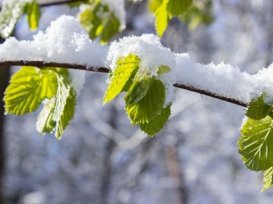 Москвичам пообещали дождливое начало апреля