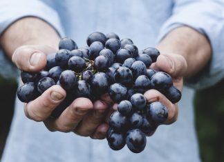 Рисовая лепешка с Коктебелем: продукция полуострова заинтересовала КНР