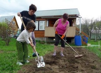 Роспотребнадзор попросил россиян провести майские на родине