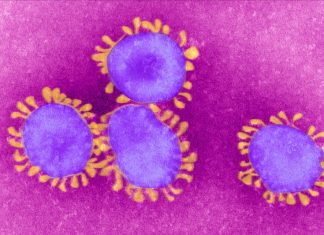 Ученые заявили о необходимости контроля за мутирующим коронавирусом