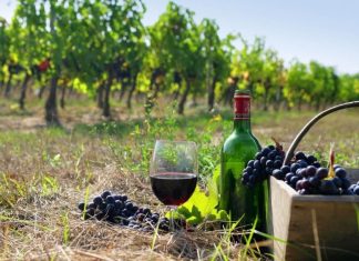 Украину настиг кризис виноделия