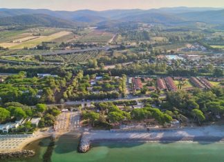 В итальянском городе появятся настоящие джунгли