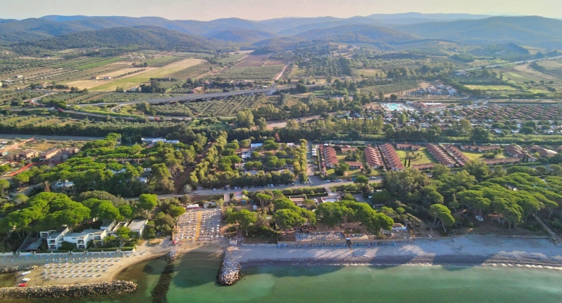 В итальянском городе появятся настоящие джунгли