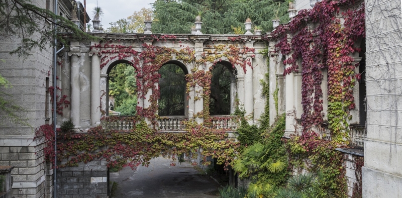 «Весной быть всем!»: турист поделился впечатлениями об отдыхе в Сочи