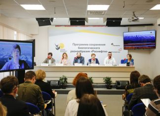 Белый мишка и сестра его чайка