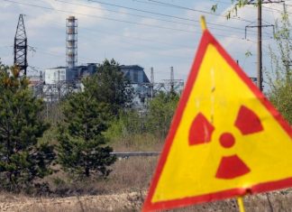 Эксперт: политика Зеленского по отношению к атомной энергетике создаёт угрозу новых «Чернобылей»