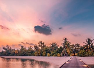 Мальдивы разрешили привитым «Спутником V» туристам не сдавать ПЦР-тест