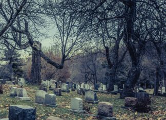 Население России в 2018-2020 годах уменьшилось на 711 тыс. человек