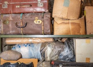 Названы самые странные вещи, которые забывали пассажиры в поездах