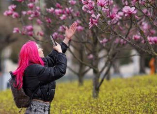 Роспотребнадзор: Нерабочие дни в мае не спровоцируют всплеск COVID-19