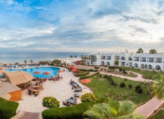 Тунис надеется возобновить сообщение с Россией 19 апреля