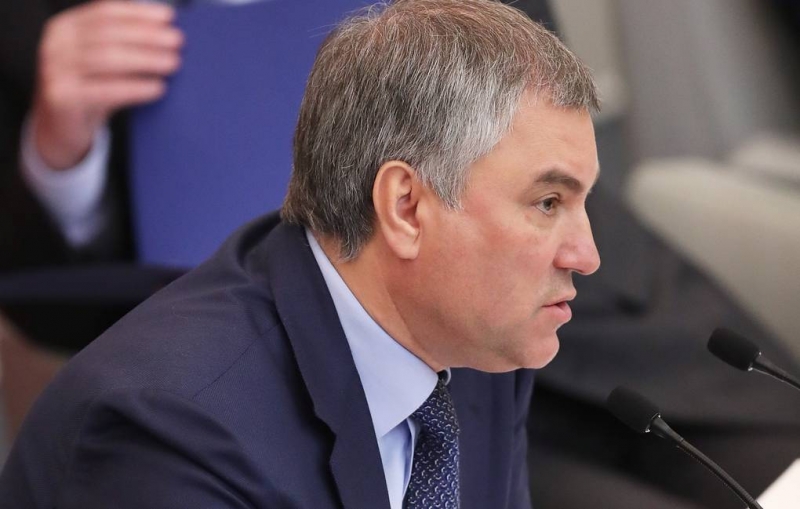 В Госдуме отреагировали на убийство ребенка украинскими карателями