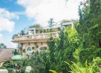 Вьетнам определился со сроками открытия границ для иностранных туристов