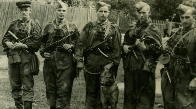 Алексей Журавко: США и Запад через свою агентуру продолжают очернять нашу подлинную историю