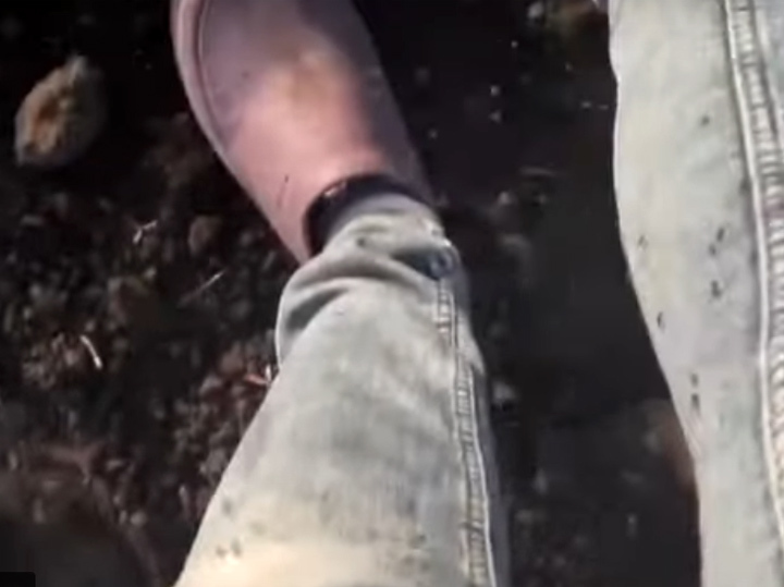 Черная мошка устроила апокалипсис в Ульяновской области: деревни вымерли