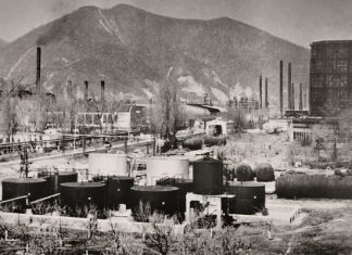 До последней капли нефти