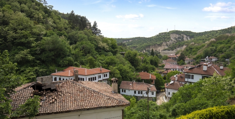 Консульства Болгарии в России возобновляют работу по выдаче виз