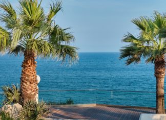 На Кипре отменят комендантский час и откажутся от других ограничений