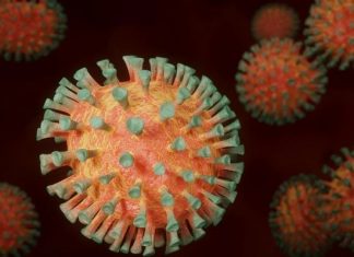 На Кипре сообщили о самой быстрой передаче коронавируса от человека к животному