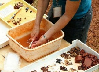 Останки девятерых неандертальцев нашли в пещере неподалеку от Рима