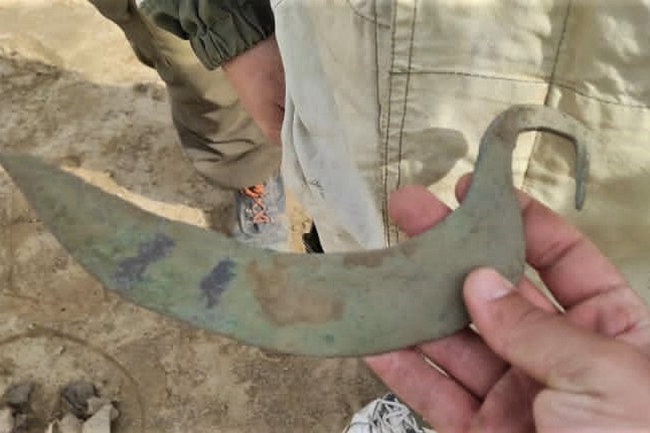 Почему не стоит "гуглить" симптомы рака