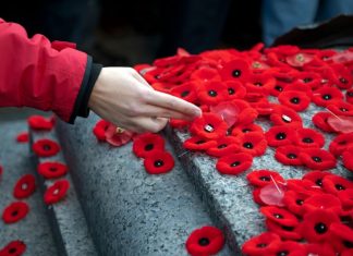 Половина украинцев смирилась с Днём памяти и примирения