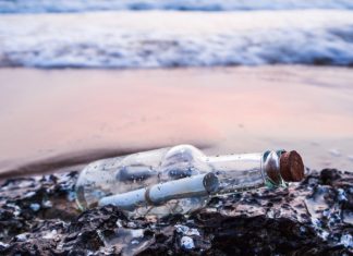 Польская туристка бросила бутылку с посланием в Финский залив и получила ответ спустя 10 лет