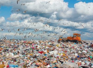 Смертельная борьба России с мусором